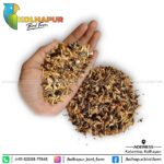 SMALL CONURE SEED MIX - Image 2