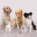 Dog Muzzle with Adjustable Strap - Image 3