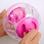 Hamster Running Ball 12cm Crystal Ball - Image 9