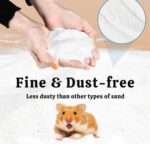 Hamster Bath Sand 200gm - Image 3