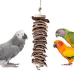 NATURAL PARROT TREAT Wooden Deworming Assorted Wooden Chew Toy For Conure, African Grey, Amazon Parrot, Macaw, Cockatoos And Other Birds