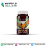 Avian Digest Boost 50gm